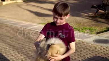 4K录像。 一个小孩子和一只小狗波美拉尼亚斯皮茨玩。 爱他，拥抱和抚摸。